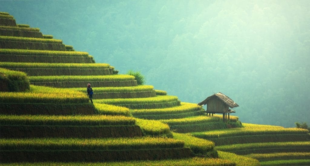 Quelles sont les meilleures choses à faire en Thaïlande ?