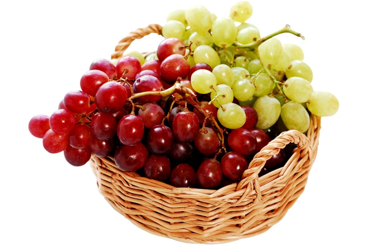 corbeille &agrave; fruits